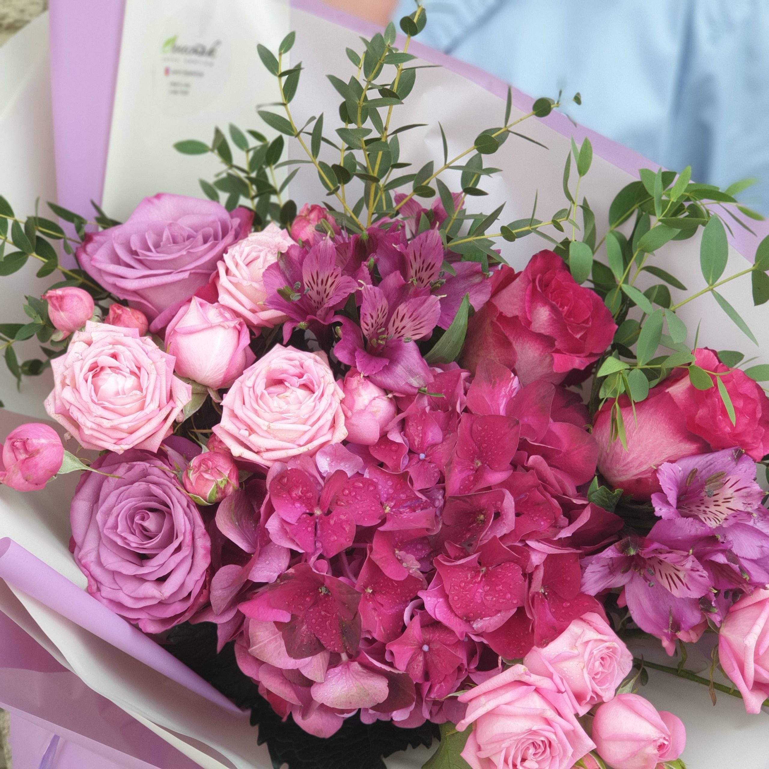 923f023b-2d91-42da-a7d3-ab4da4e48434