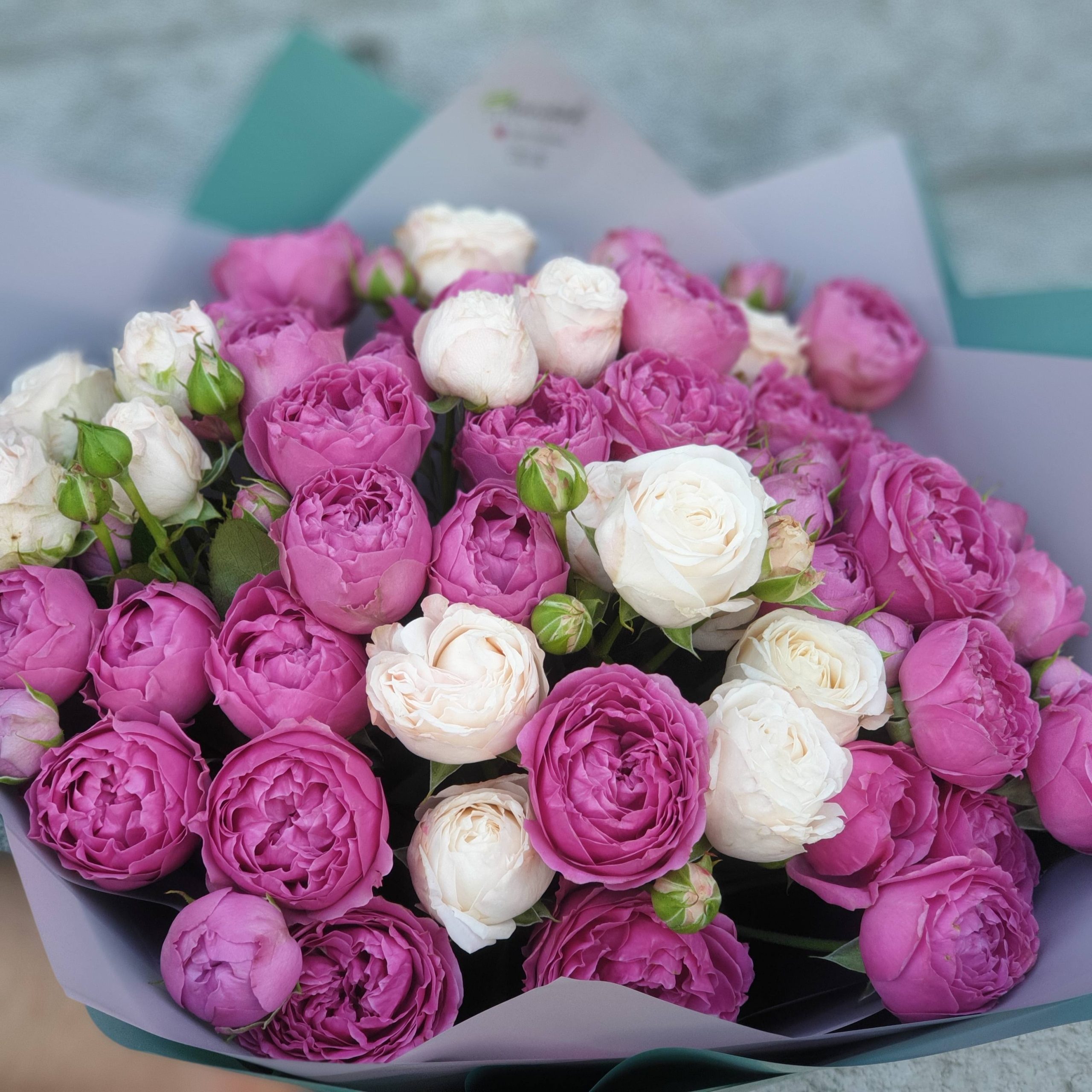 f6851b1f-56a3-4d61-9d89-ddddb37093ac